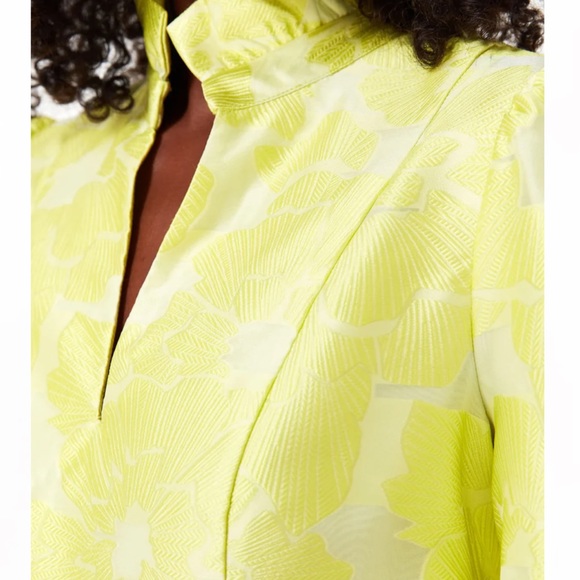 Tuckernuck Citron Fil Coupe Palmerston Dress Sizes various NWT - Picture 5 of 7